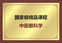 中医眼科学