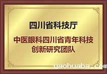 中医眼科四川省青年科技创新研究团队