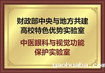 中医眼科与视觉功能保护实验室