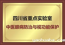 中医眼病防治与视功能保护