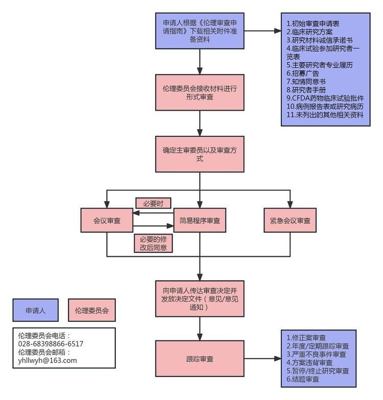 伦理审查流程