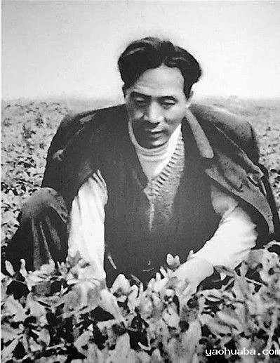 “学四史 讲精神”第五期—焦裕禄